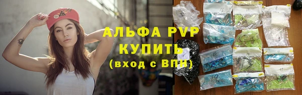 спиды Козельск