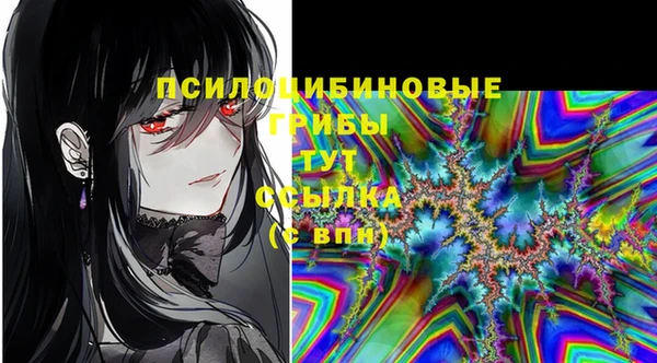 первитин Кинешма