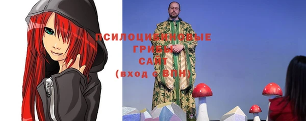 спиды Козельск