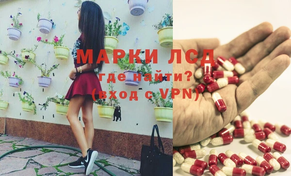 спиды Козельск