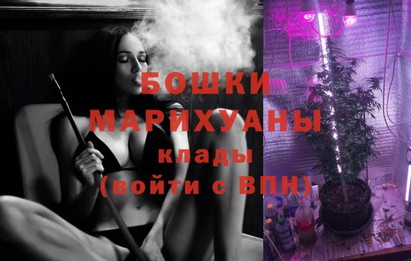 мет Новозыбков